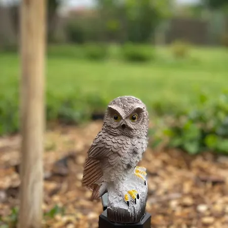 Es Bagoly Kalandhaz بيت للعطل سزارفاس