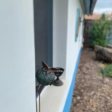 Es Bagoly Kalandhaz سزارفاس