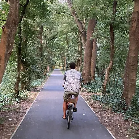 بيت للعطل Es Bagoly Kalandhaz *