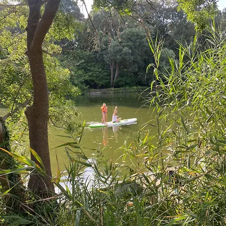 Es Bagoly Kalandhaz *