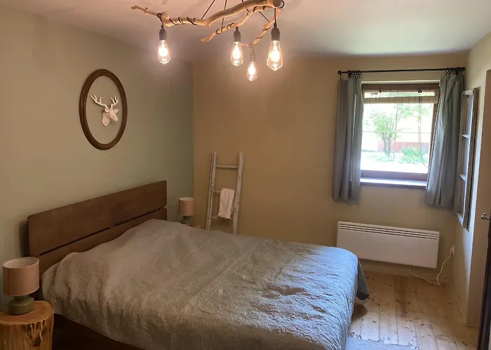 Es Bagoly Kalandhaz *