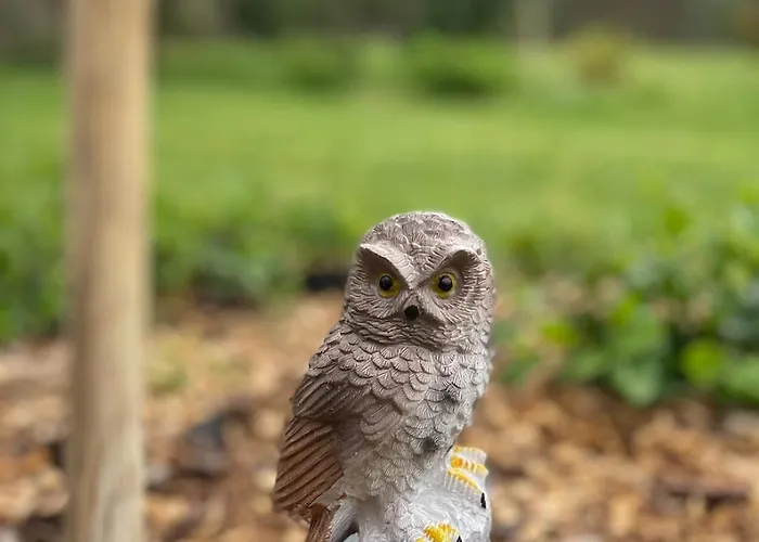 Es Bagoly Kalandhaz Dom wakacyjny Szarvas