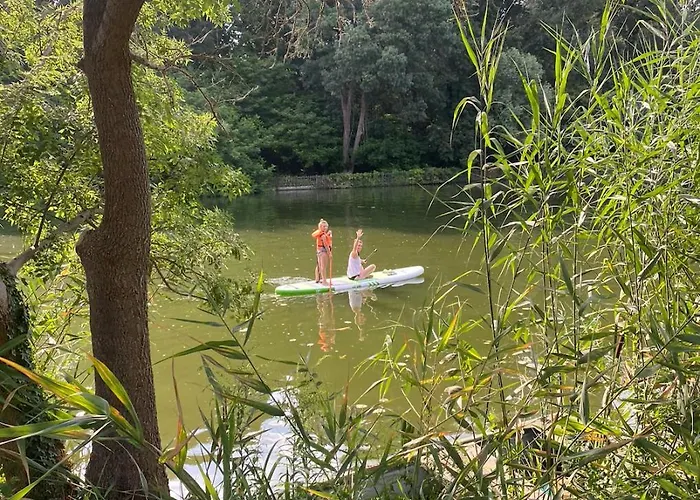 Es Bagoly Kalandhaz *